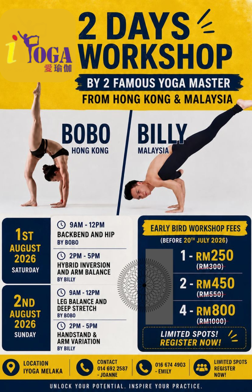 Bobo Billy Workshop